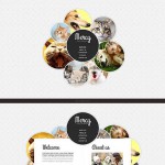  Fehér és szürke Animal Shelter honlap sablon webáruház készítés