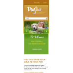 webáruház készítés  Fehér és zöld Dog honlap sablon 