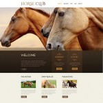 webáruház készítés  Brown u0026 White Horse honlap sablon 