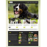 webáruház készítés  Black Dog honlap sablon 