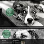  Fekete- szürke Animal Shelter honlap sablon webáruház készítés