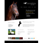 webáruház készítés  Black u0026 White Horse honlap sablon 