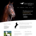  Black u0026 White Horse honlap sablon webáruház készítés