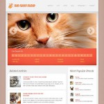 webáruház készítés  White Cat honlap sablon 