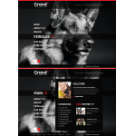 webáruház készítés  Black Dog honlap sablon 