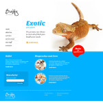 webáruház készítés  White u0026 Blue Egzotikus kisállatok honlap sablon 