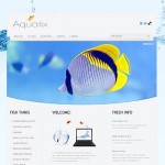  White u0026 Blue Fish honlap sablon webáruház készítés