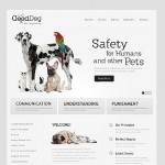  White u0026 Grey Dog honlap sablon webáruház készítés