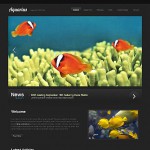  Fekete hal honlap sablon webáruház készítés