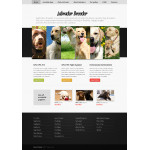 webáruház készítés  White u0026 Black Dog honlap sablon 