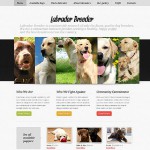  White u0026 Black Dog honlap sablon webáruház készítés