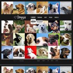  Black Dog honlap sablon webáruház készítés