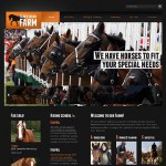  Black Horse honlap sablon webáruház készítés