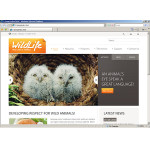 webáruház készítés  White Wild Life honlap sablon 