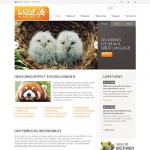 webáruház készítés  White Wild Life honlap sablon 