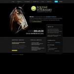  Black Horse honlap sablon webáruház készítés