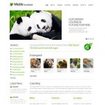 White Wild Life honlap sablon webáruház készítés