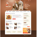 webáruház készítés  White u0026 Brown Dog honlap sablon 