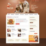 webáruház készítés  White u0026 Brown Dog honlap sablon 