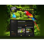 webáruház készítés  Fekete madarak honlap sablon 