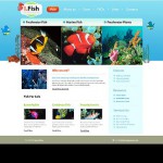  White u0026 Cián Fish honlap sablon webáruház készítés