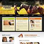  White u0026 Black Horse honlap sablon webáruház készítés
