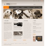 webáruház készítés  Grey Dog honlap sablon 