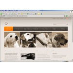 webáruház készítés  Grey Dog honlap sablon 