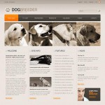  Grey Dog honlap sablon webáruház készítés