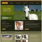  Green u0026 Black Horse honlap sablon webáruház készítés