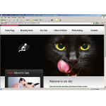 webáruház készítés  White u0026 Black Cat honlap sablon 
