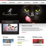  White u0026 Black Cat honlap sablon webáruház készítés
