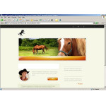 webáruház készítés  White Horse honlap sablon 