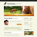  White Horse honlap sablon webáruház készítés