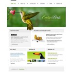 webáruház készítés  Fehér és zöld madarak honlap sablon 