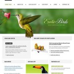  Fehér és zöld madarak honlap sablon webáruház készítés