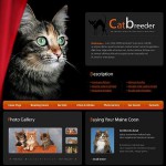  Black Cat honlap sablon webáruház készítés
