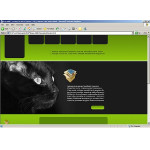 webáruház készítés  Green u0026 Black Cat honlap sablon 