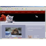 webáruház készítés  Grey u0026 Black Cat honlap sablon 