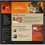 webáruház készítés  Black Cat honlap sablon 