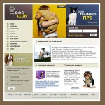 webáruház készítés  White u0026 Grey Dog honlap sablon 