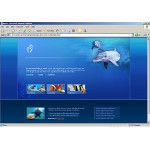 webáruház készítés  Blue Dolphin honlap sablon 