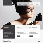  White u0026 Grey Photo Studio honlap sablon webáruház készítés