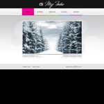  Fehér és szürke fotós Portfolio Website Template webáruház készítés