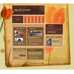 webáruház készítés  Brown u0026 Orange Art Web Template 