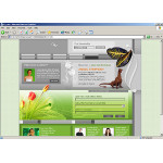 webáruház készítés  Szürke és Green Art Web Template 