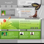  Szürke és Green Art Web Template webáruház készítés
