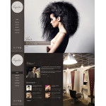 Webáruház készítés  Black u0026 Grey Hair Salon honlap sablon 