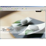 Webáruház készítés  Szürke Szépségszalon honlap sablon 
